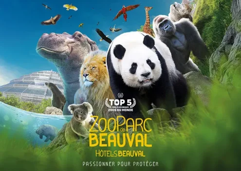 Billet d'entrée pour le zoo de Beauval pas cher